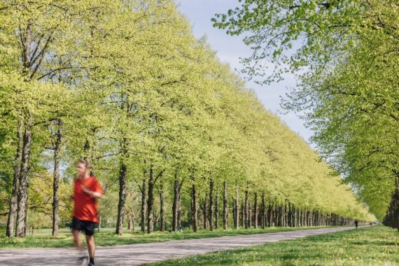 a man running down a tree lined road